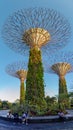 Visitors or tourists resting under Supertree at Gardens by the Bay, Singapore