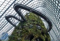 Visitors walk across the sky bridge in the rainforest atrium at the Gardens by the Bay in Singapore.