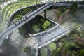 Visitors walk across the sky bridge in the rainforest atrium at the Gardens by the Bay in Singapore.