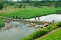 Visitors walk through the stone road in the middle of the river