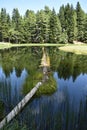 Visitorsko lake Montenegro Royalty Free Stock Photo