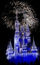 Cinderella castle illuminated with blue light