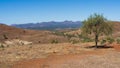 Vista of the Flinders Ranges and Wilpena Pound as seen from the Hucks lookout