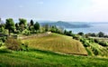 Vista of Lago Maggiore, Nebbiuno Italy