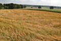 Vista with sloping landscape.