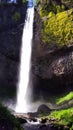 Vistas and waterfalls in columbia river gorge