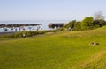 Vistors relax on the green overlooking the harbour and marina in the County Down village of Groomsport on a pleasant summer