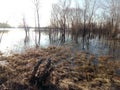 Vistula river flood in early spring 7 Royalty Free Stock Photo