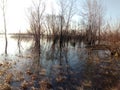 Vistula river flood in early spring 5 Royalty Free Stock Photo