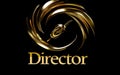 Visual accent: original banner with the text director on the background, expressing a unique style and image, helping to Royalty Free Stock Photo