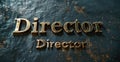 Visual accent: original banner with the text director on the background, expressing a unique style and image, helping to Royalty Free Stock Photo
