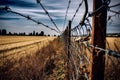 A visual depiction of a barbed wire fence. AI