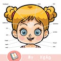 Visual dictionary for children about the human body, girls head