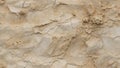 Visual Epochs: Fossilized Limestone Time Capsule. AI generate Royalty Free Stock Photo