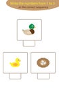 Visual game with duck life cycle for kids, educational task for the development of logical thinking, preschool worksheet activity Royalty Free Stock Photo