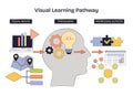 Visual learning pathway shows inputs processed into knowledge outputs, head ... Royalty Free Stock Photo