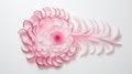 a visual of a single, finely sliced radish