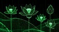 Digital Lotus Flowers Emerging from Binary Code Matrix Royalty Free Stock Photo