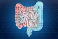 Visualization 3d cad model of human bowel, 3D rendering