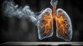Human Lungs with Smoke Exposure Royalty Free Stock Photo