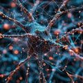 visualization of neural network operation
