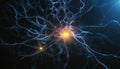 Neural Impulse in Brain Synapse