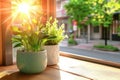 Visualize Future of AI in business process efficiency and optimization with serene window views Plants bathed in sunlight