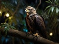 An eagle remains alert while resting at night