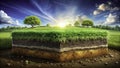Visualizing Earths Layers A Detailed CrossSection Illustrating Soil Composition Texture and Botanical Layers for