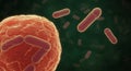 Visualizing Microscopic Organisms Cluster of Bacteria with Cellular Structures Royalty Free Stock Photo