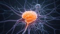 Visualizing Neural Complexity: Neural Cells, Epilepsy, and Alzheimer Connections