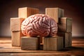 Visualizing the Prefrontal Cortex An Interactive 3D Brain Model Constructed with Wooden Blocks for Educational and