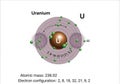 Visualizing uranium\'s atomic structure electron shell configuration and key scientific properties presented clearly Royalty Free Stock Photo