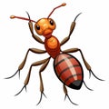 Ant illustration. Brown and red insect with detailed anatomy on a white background Royalty Free Stock Photo