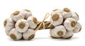Fresh Garlic Braids on White Background Royalty Free Stock Photo