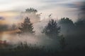 Atmospheric mist or fog, creating a moody and intriguing visual effect