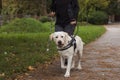 Visually impaired woman walking in park with a guide dog assistance Royalty Free Stock Photo