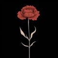 Visually Poetic Illustration Of A Dark Red Carnation Flower