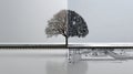 A visually striking composition featuring a tree divided in half