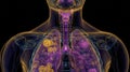 Detailed human endocrine system image highlighting thyroid and adrenal glands torso, AI generated Royalty Free Stock Photo