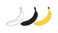 Banana Evolution: Line Art, Silhouette, and Color Royalty Free Stock Photo