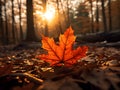 Visually Striking Image of Vibrant Orange Maple Leaves on Forest Floor, Bathed in Golden Sunlight. Generative Ai