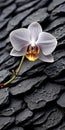Visually Tactile Orchid: Sustainable Design With Raw Vulnerability