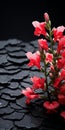 Visually Tactile Red Flowers On Cracked Surface: Tabletop Photography