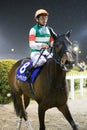 Vita Allegria wins Marine Cup at Funabashi Racecourse in Japan