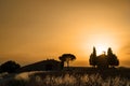 Vitaleta Chapel at sunset, Tuscan landscape near San Quirico d`Orcia, Siena, Tuscany Italy Royalty Free Stock Photo