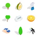 Vitality food icons set, isometric style Royalty Free Stock Photo