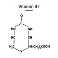 Vitamin B7. Biotin Molecular chemical formula. Infographics. Vector illustration on isolated background.