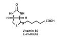 Vitamin B7 Biotin molecular structure. Vitamin B7 Biotin skeletal chemical formula. Chemical molecular formulas