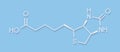 Vitamin B7 biotin molecule. Skeletal formula. Royalty Free Stock Photo